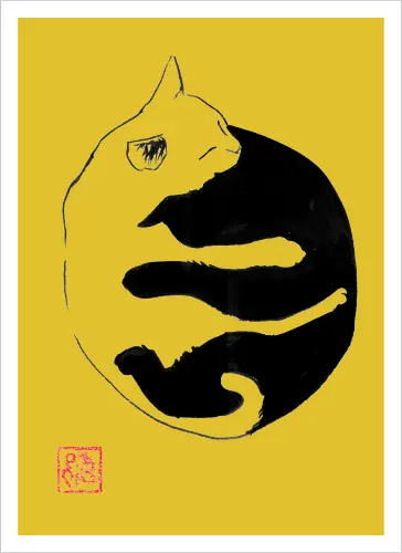 ying yang cat
