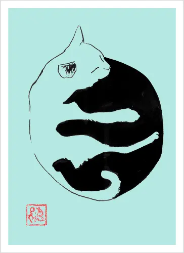 ying yang cat