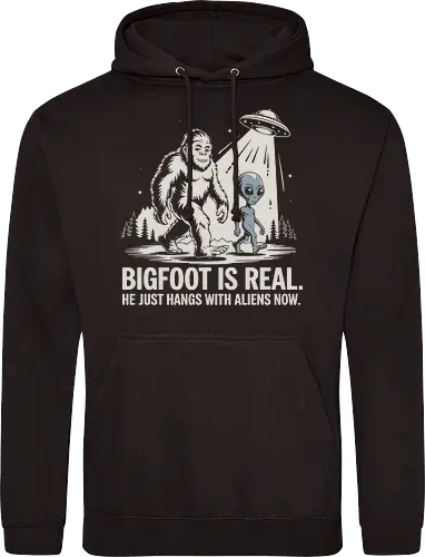 Bigfoot is real. He just hangs with aliens now