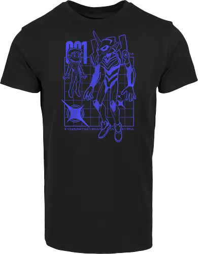 EVA001