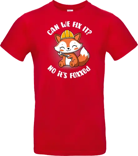 Can we fix it fox