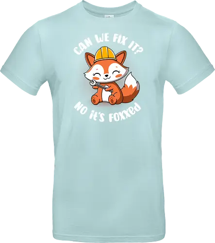 Can we fix it fox