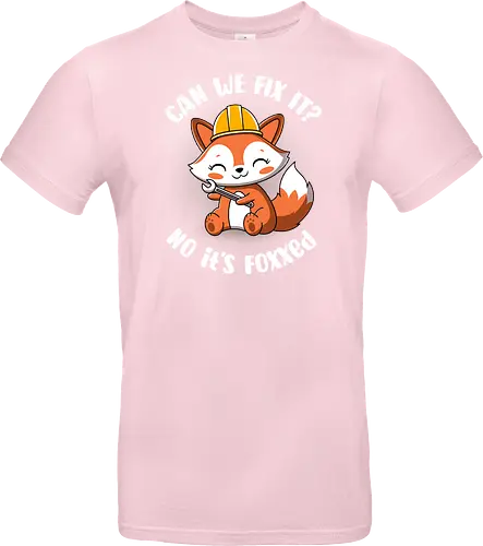Can we fix it fox