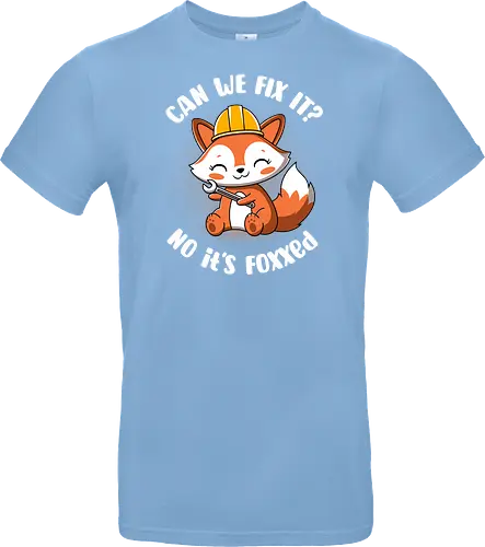 Can we fix it fox