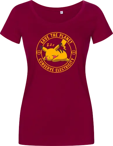 Conserve Electricity