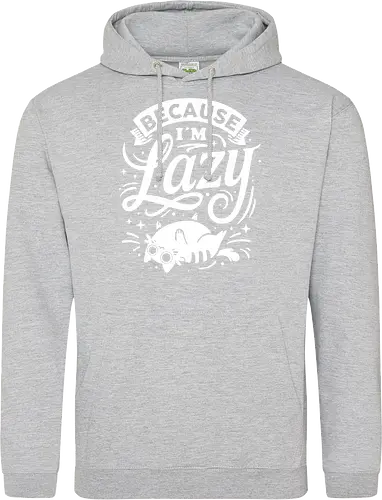 Because I Am Lazy