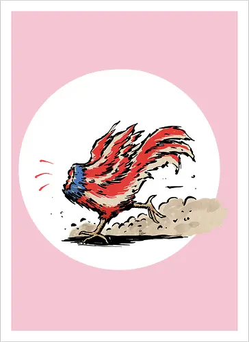 American Rooster