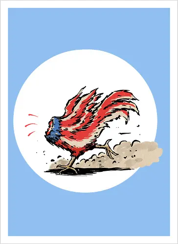 American Rooster