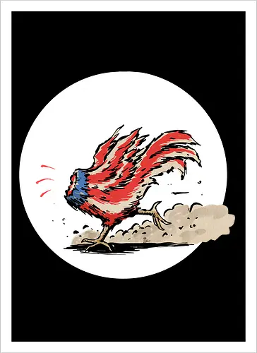 American Rooster