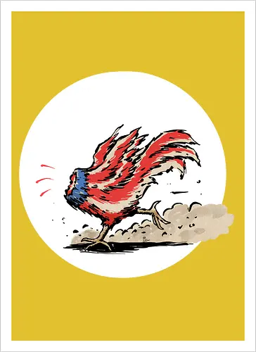 American Rooster