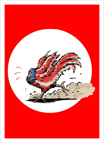 American Rooster
