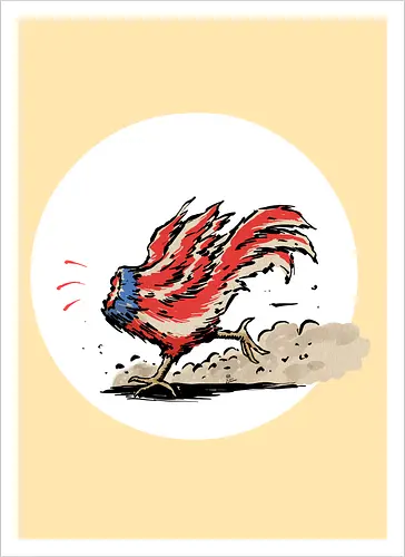 American Rooster