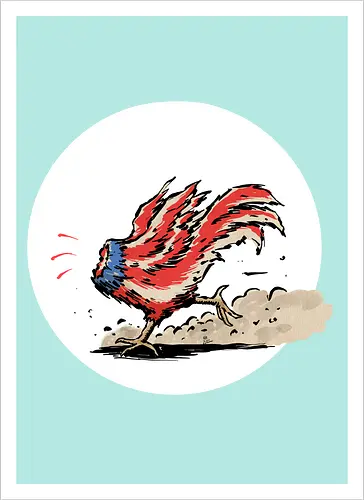 American Rooster