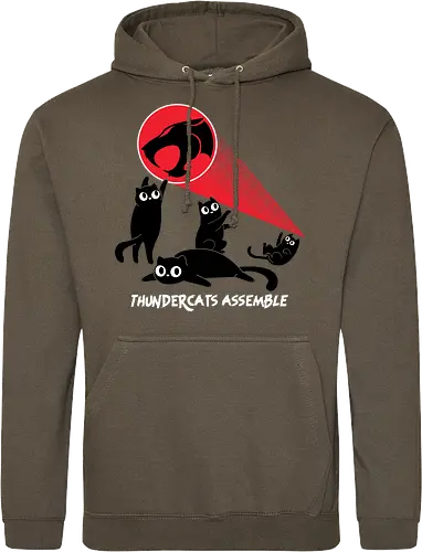 ThunderCats Assemble