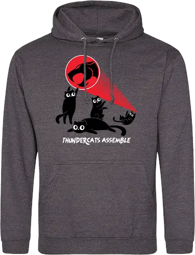 ThunderCats Assemble