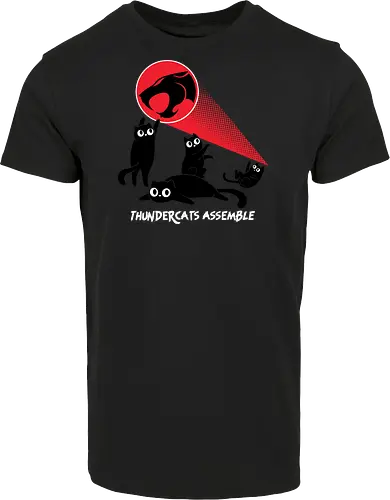 ThunderCats Assemble