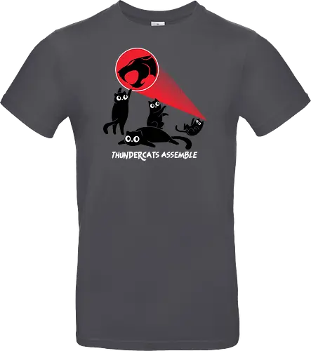 ThunderCats Assemble