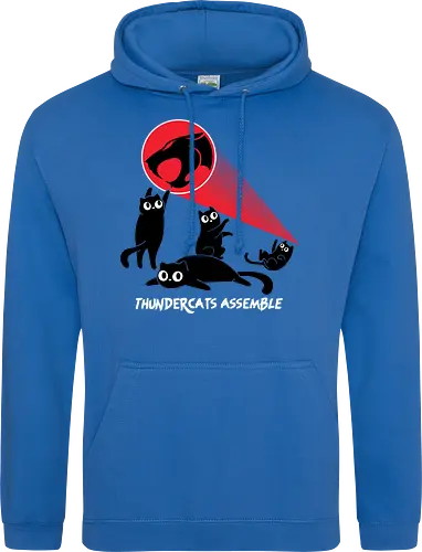 ThunderCats Assemble