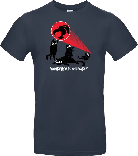 ThunderCats Assemble