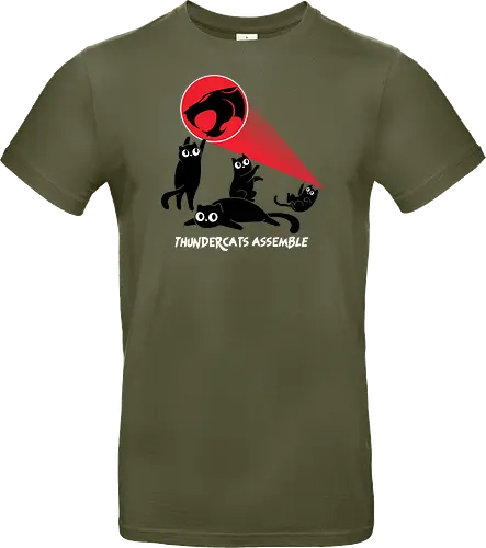 ThunderCats Assemble