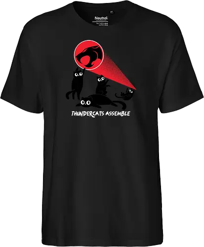 ThunderCats Assemble