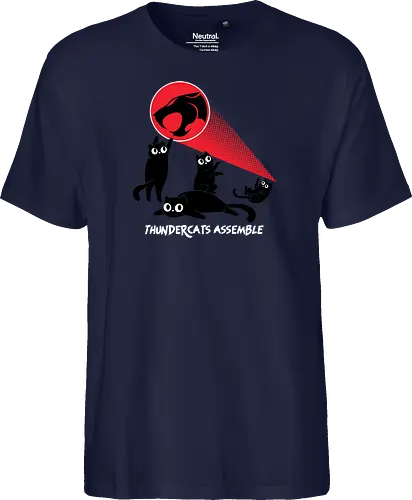 ThunderCats Assemble