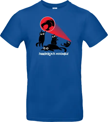 ThunderCats Assemble