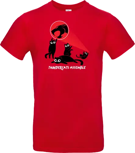 ThunderCats Assemble