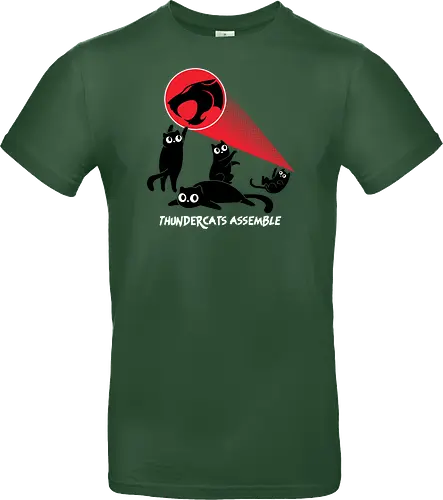 ThunderCats Assemble