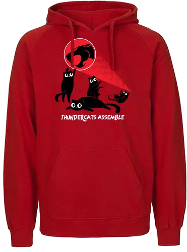 ThunderCats Assemble - Cute cats, 1980s, Saturday cartoons, thunder, cats, Black cats, funny, laser cats - Fairtrade Hoodie