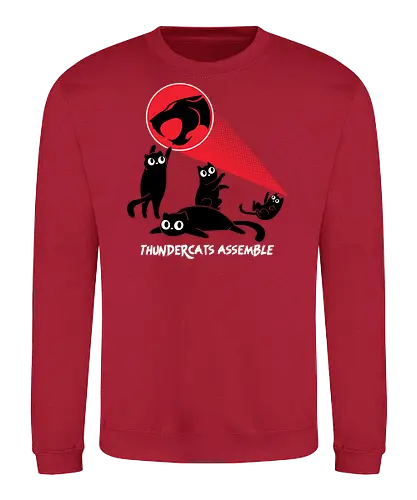 ThunderCats Assemble - Cute cats, 1980s, Saturday cartoons, thunder, cats, Black cats, funny, laser cats - Sweatshirt