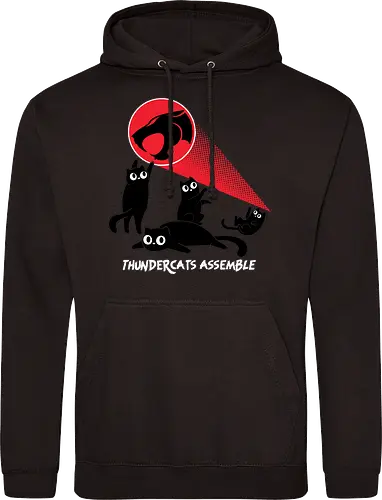ThunderCats Assemble