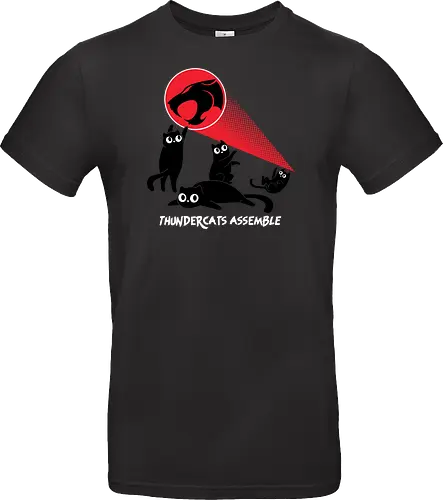 ThunderCats Assemble