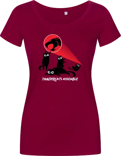 ThunderCats Assemble