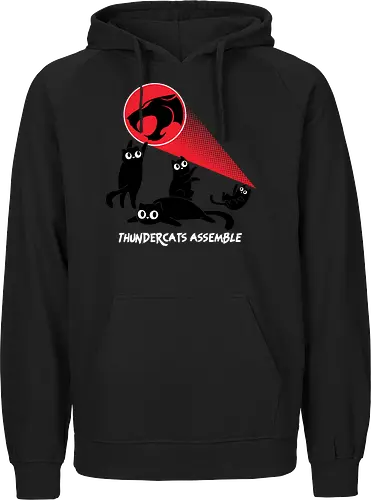 ThunderCats Assemble