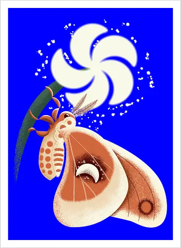 Magischer Nachtschmetterling