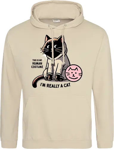 This is my human costume, I’m really a cat