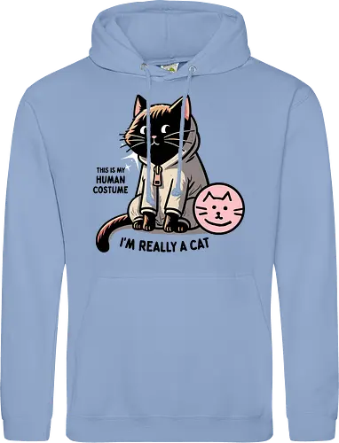 This is my human costume, I’m really a cat