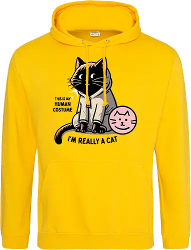 This is my human costume, I’m really a cat