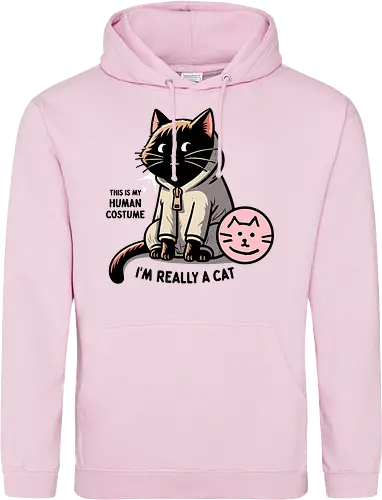This is my human costume, I’m really a cat
