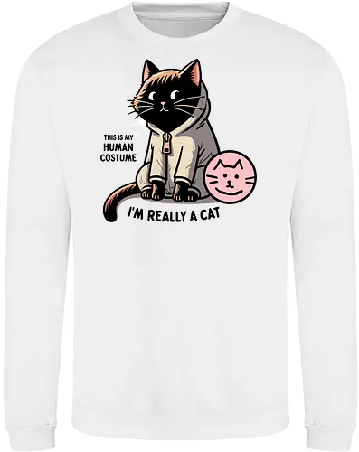 This is my human costume, I’m really a cat