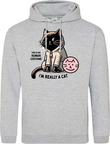 This is my human costume, I’m really a cat