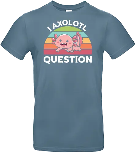 I Axolotl Question - axolotl, cute, rainbow, graphic, pun, pink, typography, retro, stripes, slogan - Standard T-Shirt