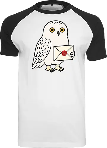  Hedwig Mail