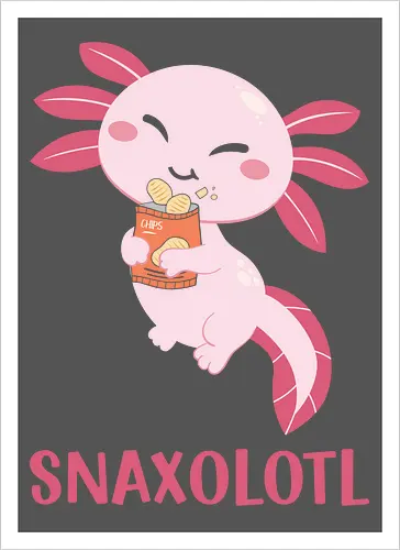 SNAXOLOTL