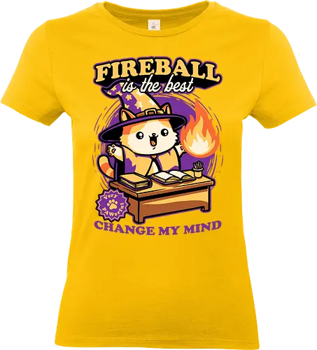 Wizard Cat Fireball - cat, magic, magical, fireball, ritual, mage, wizard, sorcerer, rpg, role-playing game, role-play, Role-playing, pet, Pen and Paper, d20, fun, funny, cute - Standard T-Shirt (Women)