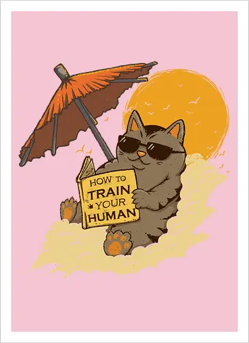 How to Train your Human