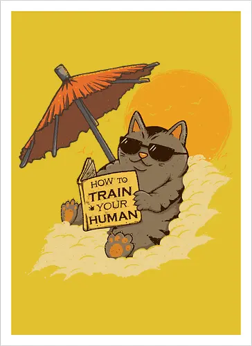 How to Train your Human