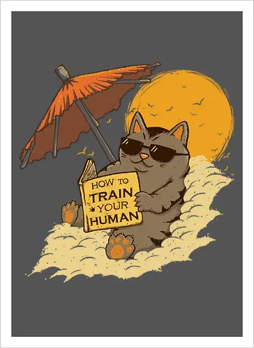 How to Train your Human