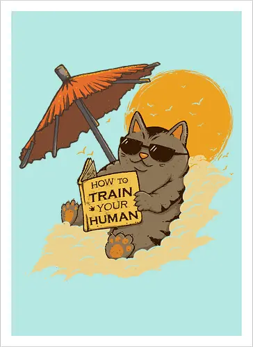 How to Train your Human